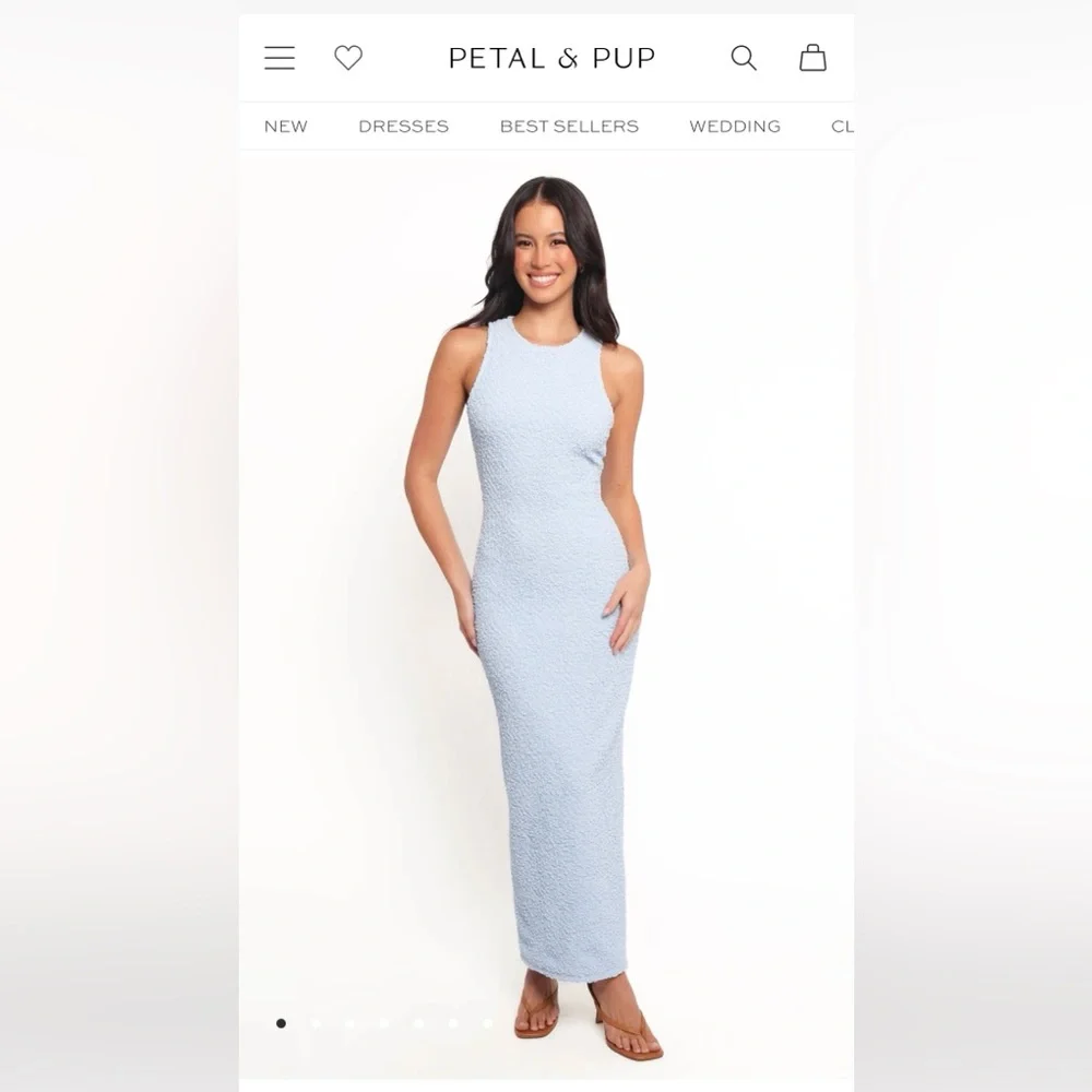 Petal & Pup Light Blue Maxi Dress - Picture 1 of 8